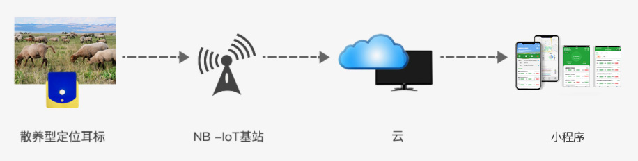 擎天碧-活體抵押金融監(jiān)管平臺（智能耳標(biāo)系統(tǒng)軟件）